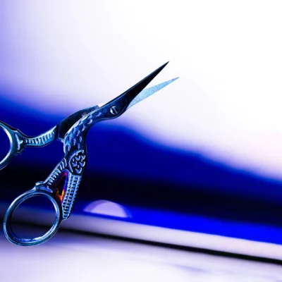 Mrs. Highbrow Brow Scissors Blue Bird - Image 4